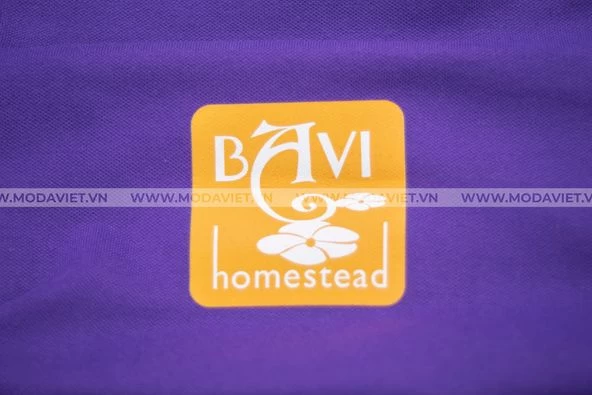 MODAVIET X BAVI HOMESTEAD